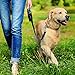 Simple Solution Pee Post Outdoor Dog Training Aid, 13-Inch Pheromone-Infused Stake for Puppy Potty Training, Yard Marking, and Housebreaking, Dog Pee Attractant for Lawn & Garden