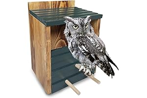 100% Cedar Wood Owl Box for Outside, Ready-to-use