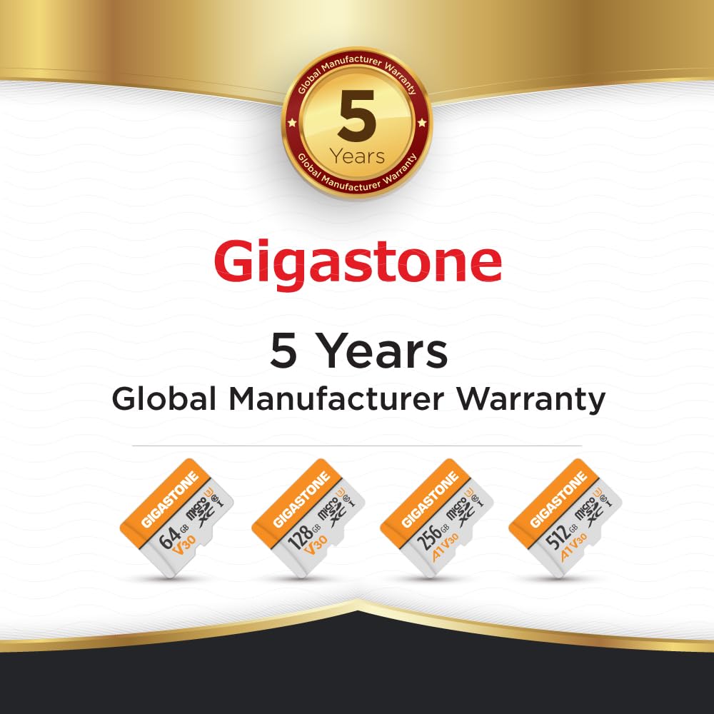 GIGASTONE Carte Micro SD 64 Go Lot de 2, V30 Enregistrement Vidéo 4K, pour Surveillance, Caméra de Sécurité, Dashcam et Drone, Carte Mémoire MicroSDXC UHS-I Classe 10 Jusqu’à 95 Mo/s, avec Adaptateur