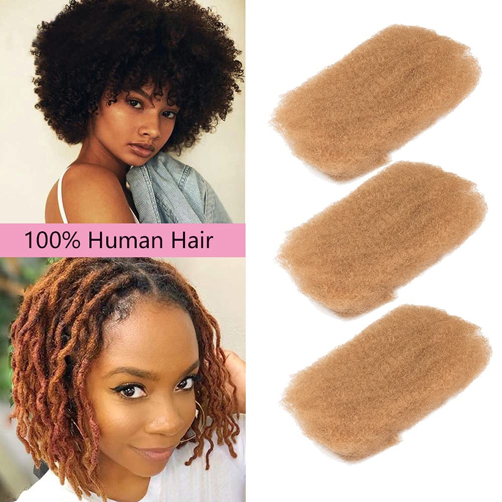 Amazon.com: DÉBUT Afro Kinky Bulk 10A Human Hair 3pcs/lot for Dreadlocks  and Twist Braiding 50g / Bundle Full Head (10"10"10", 27: HONEY) :  Everything Else