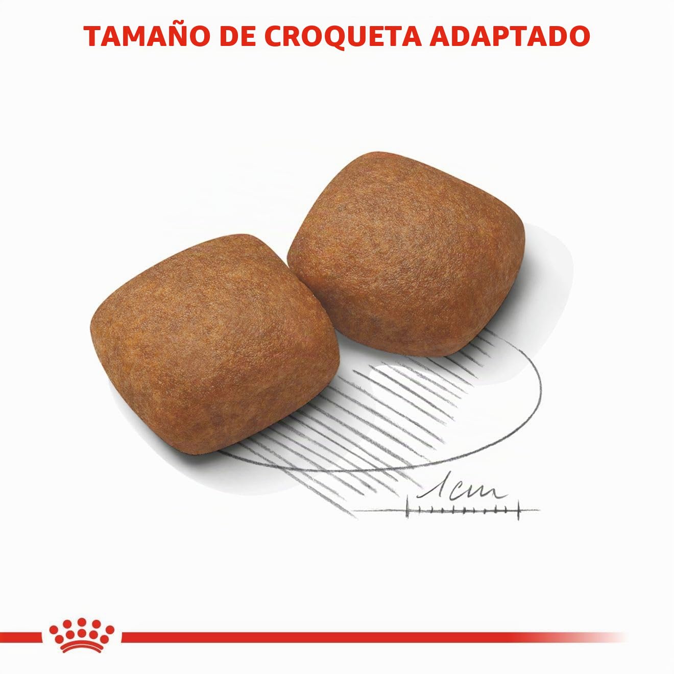 Royal Canin 31 Comida Gigante para Perros, 3,5 kg