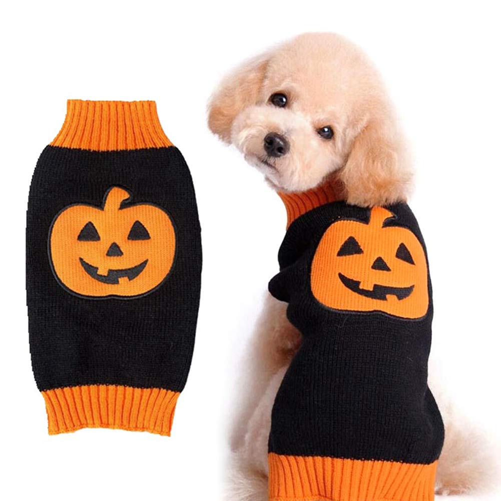 pumpkin sweater for dogs