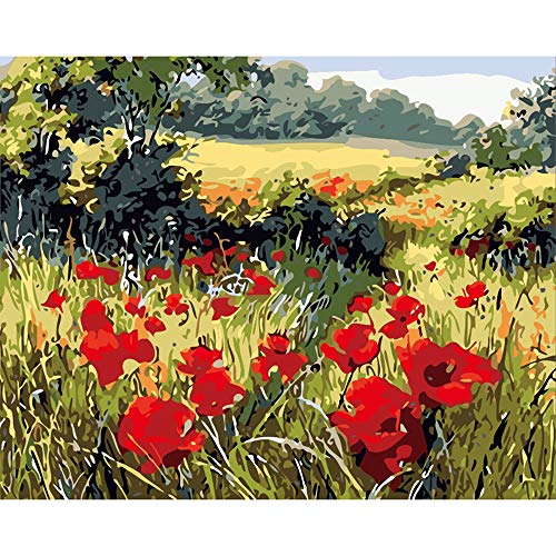 Peinture par numéros fleurs idée cadeau créatif pour anniversaire