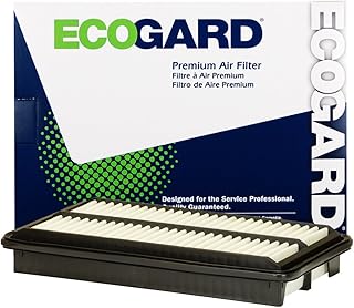 ECOGARD XA10486 Premium Engine Air Filter Fits Honda Pilot 3.5L 2016-2021, Odyssey 3.5L 2018-2021, Ridgeline 3.5L 2017-2020, Passport 3.5L 2019-2021 | Acura MDX 3.5L 2016-2020