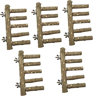 Mipcase 5 Pçs Papagaio Céu Escada Gaiola De Papagaio Gaiola De Pássaro Gaiolas De Pássaro Para Periquitos Brinquedos De Pássaros Poleiro De Pássaro Trens De Madeira Brinquedos De Cacatua