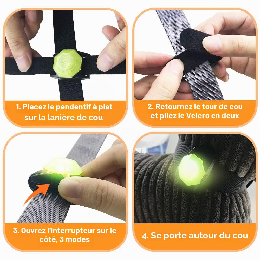 LaRoo Lumière LED clignotante de sécurité pour chien, chat, rechargeable par USB, veilleuse LED, collier étanche la nuit, promenade avec le chien en plein air, Silicone
