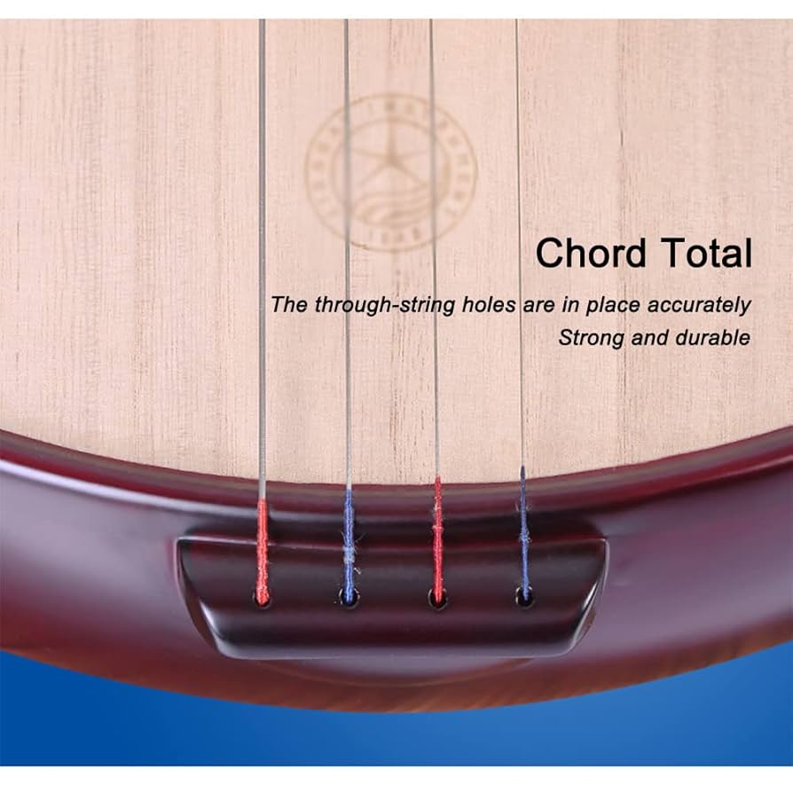 外国の撥弦楽器 Amazon | 中国の伝統的な撥弦楽器4弦ローズウッドピパ 102*31.6