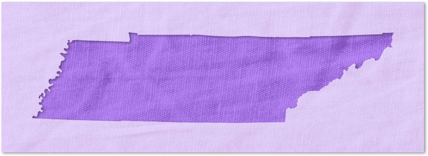 Stencil Stop Tennessee State Outline Stencil - Reusable for DIY Projects, Painting, Drawing, Crafts - 14 Mil Mylar Plastic (24 x 6.96 inches)