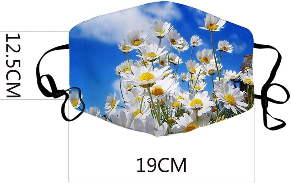 5PCS Bandana Face Reusable Dust Cloth Protection Washable Elastic String Cover Cycling Motorcycle Half Fashion Cotton Fabric Breathable Rewashable Re-Useable Scarf
