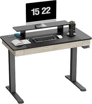 EUREKA ERGONOMIC Standing Desk with Drawers, 47" Electric Height Adjustable Dual Motor Stand Up Desk with Built-in Outlet, Wireless Charger, Luxury Home Office Computer Table, Oak Grey