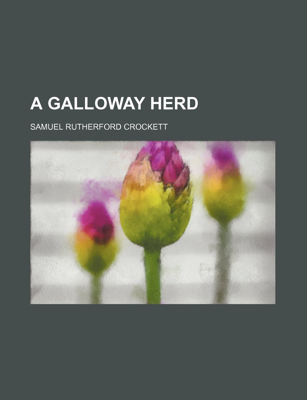 A Galloway Herd