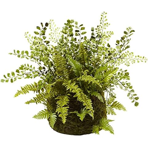 Nearly Natural Mixed Fern with Twig and Moss Basket Cover