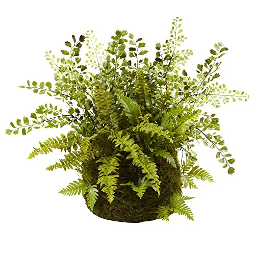 Nearly Natural Mixed Fern with Twig and Moss Basket by Nearly Natural - Used condition - US$29.45