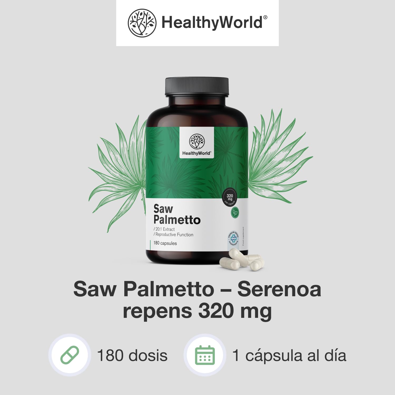 HealthyWorld Saw Palmetto – Serenoa repens con suplemento de zinc – Extracto 20:1 – 180 cápsulas vegetales – Apoyo a la próstata – Envase XXL – Para 6 meses