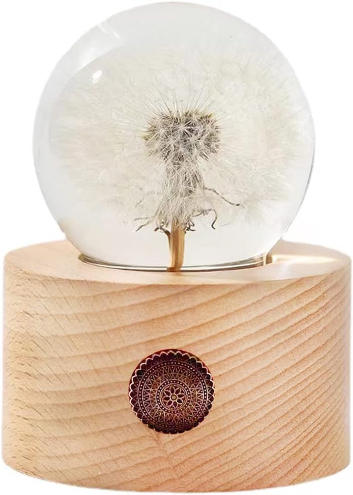 DESHINTKE Real Dandelion Specimen with Wood Round Base Paperweight Desktop Decor Decoration (Style2)