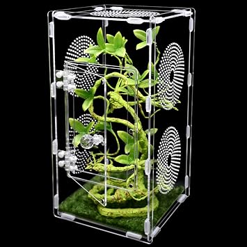 Large Jumping Spider Enclosure, Tarantula Enclosure with Front Opening Door, Spider Enclosure for mantises, Lizards, Frogs and Insects. 6x6x12 Inch, Assemble