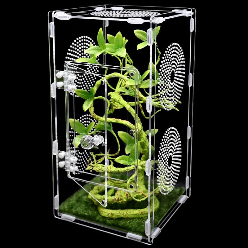 Terrário para Aranhas Saltadoras em Acrílico com Porta Frontal e Ventilação Oialonne Z002 15,24 x 15,24 x 30,48 cm