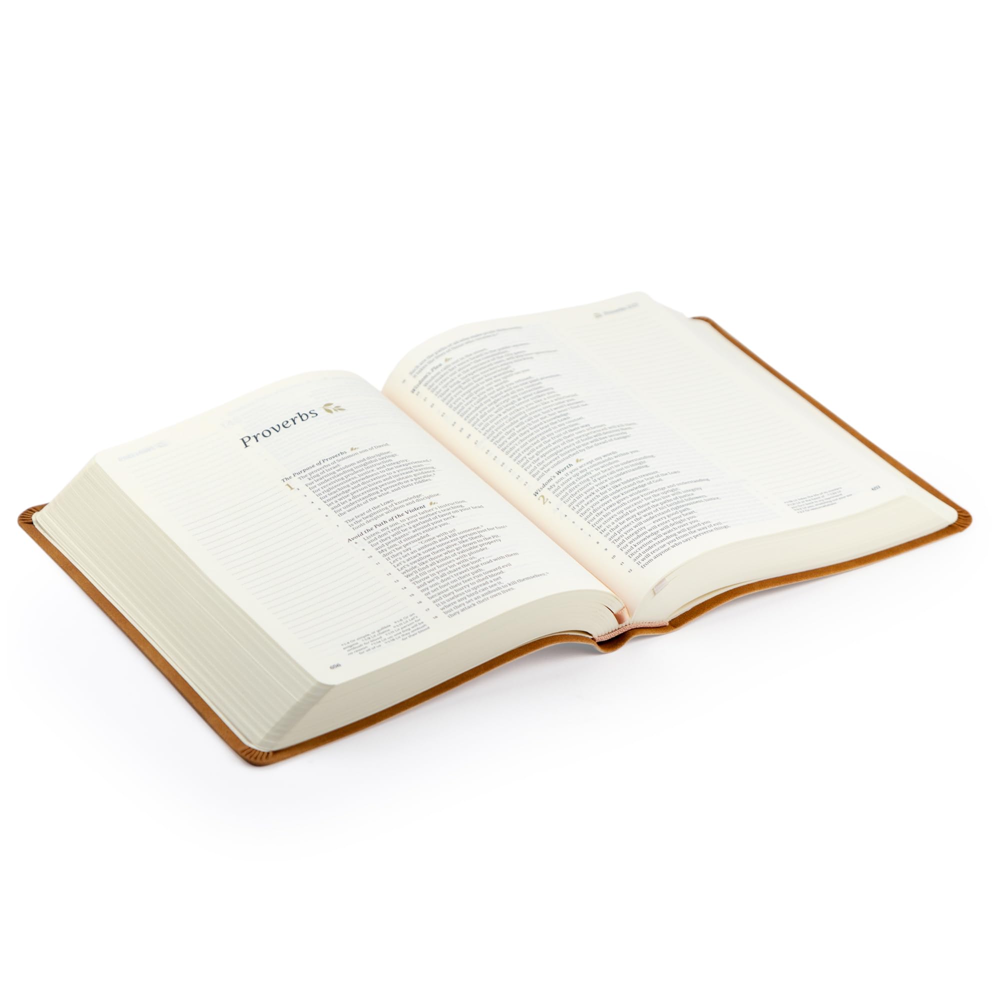 Hosanna Revival - Bibbia cristiana standard con spazio per appunti, bella floreale morbida pelle marrone simile, regali cristiani per le donne: tema Amelia