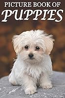 Algopix Similar Product 12 - Picture Book of Puppies Picture Book