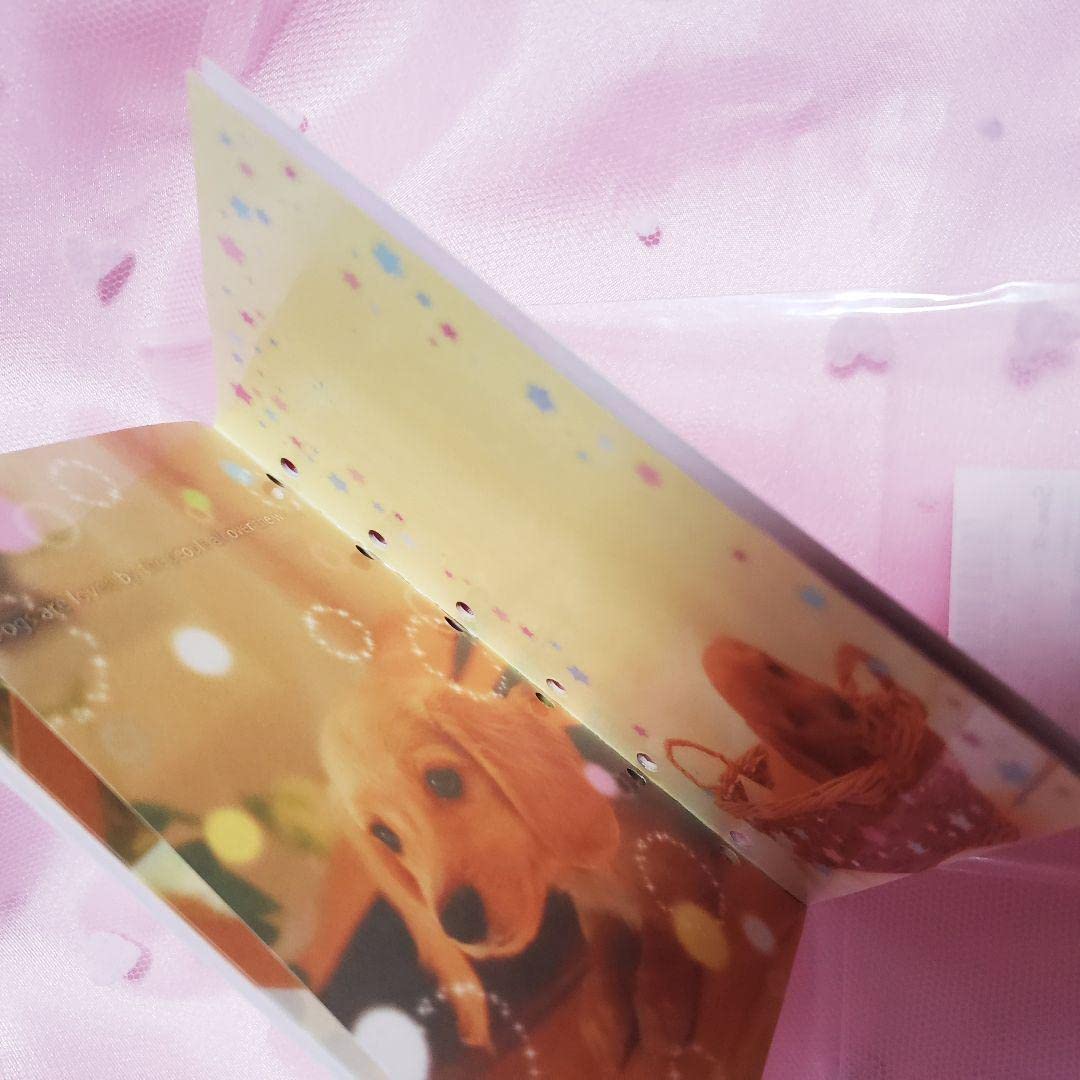 平成レトロ　シール　サンエックス　なかよしネットドロップシール　いぬ Amazon.co.jp: シール手帳 犬 平成レトロ シールブック San-X