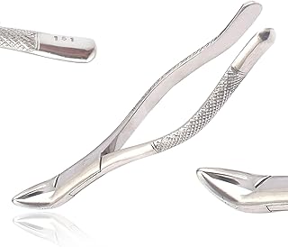 AA PRO Forceps 151 Lower INCISORS Root Teeth Dental Extraction Stainless Steel Instruments A+ Quality