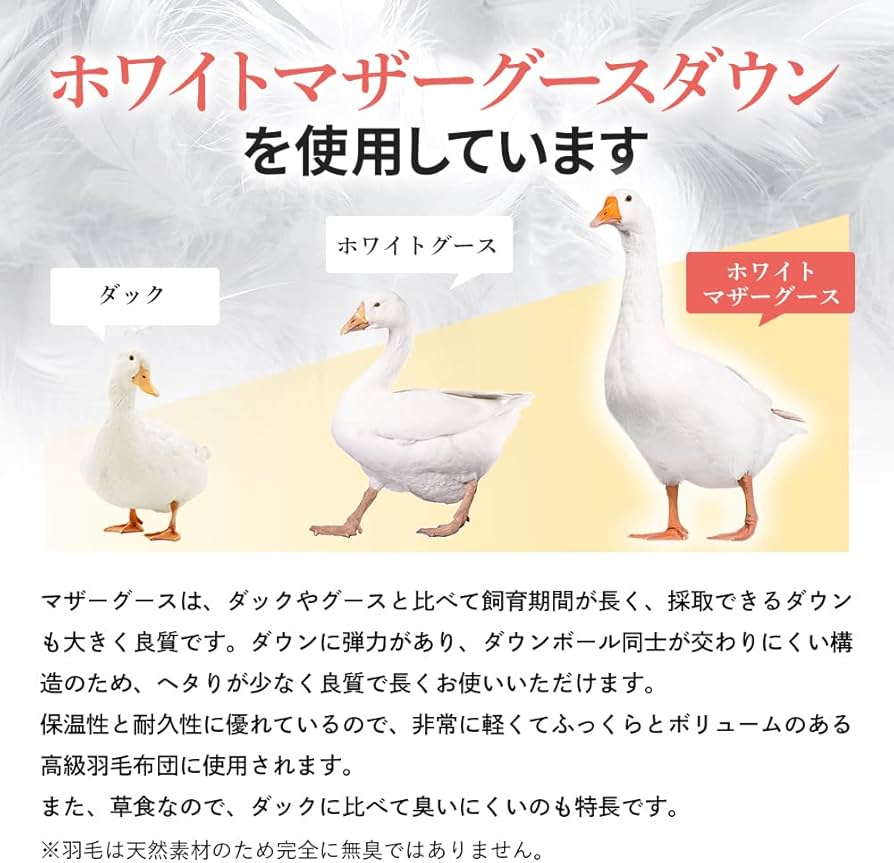 Amazon｜昭和西川 羽毛布団 日本製 ドイツ産最高級ホワイトマザー