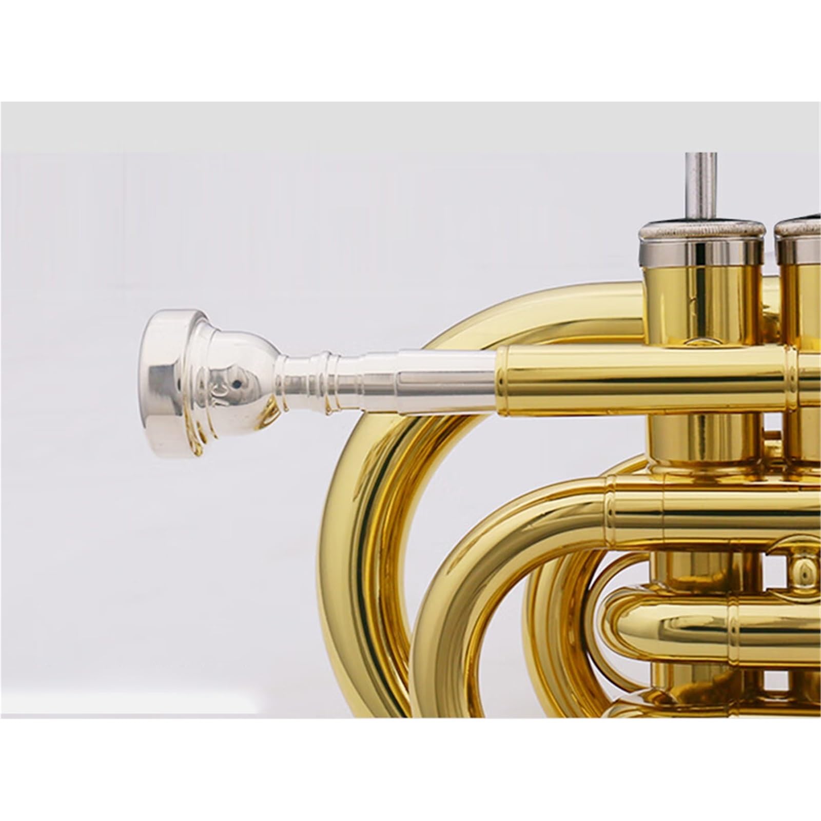 Trumpets for Beginner Trumpet B Flat Beginner Exam Wind Band Lacquered Brass Instrument(MT500)