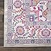 Nourison Passion Bohemian Light Grey/Pink 8' X 10' Area Rug, Easy Cleaning, Non Shedding, Bed Room, Living Room, Dining Room, Kitchen (8x10)