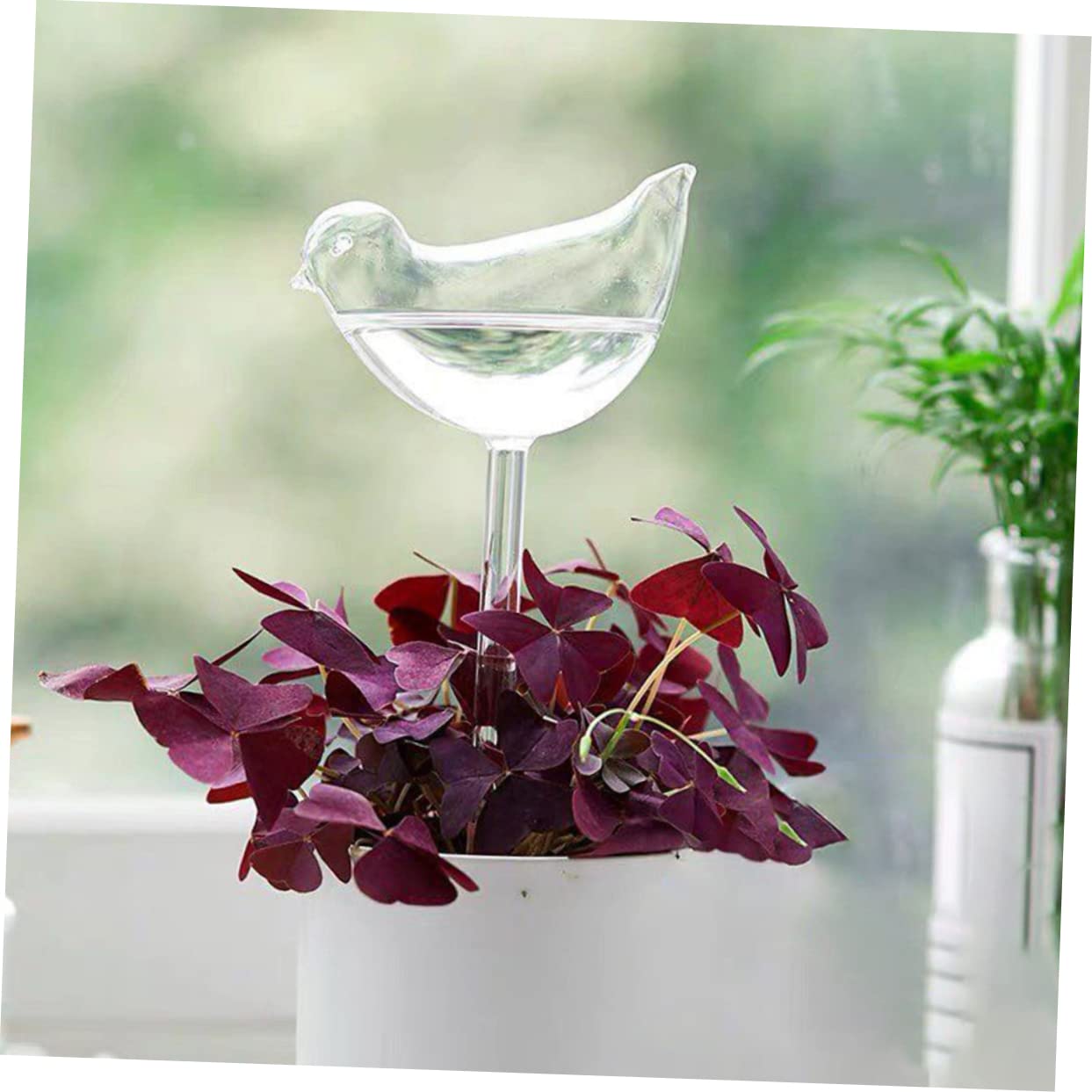 HANABASS Globes à Arrosage Automatique Dispositif D'irrigation Automatique Lot de 4 en Verre Borosilicaté Transparent pour Plantes pour Voyages et Festivals
