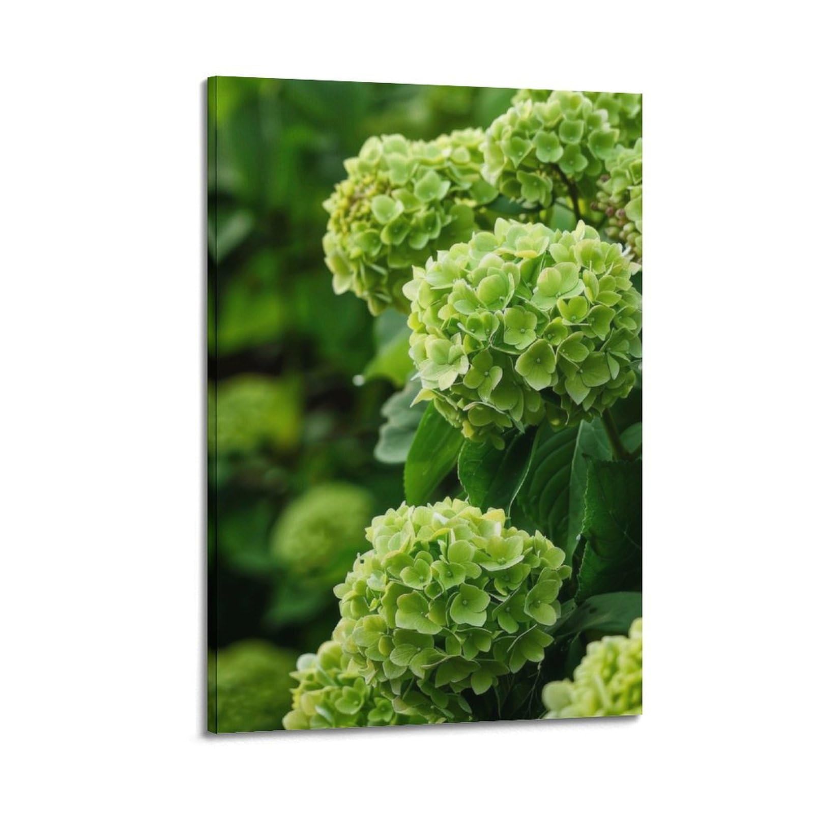 Hortensia vert sphérique ZHOUKEG création murale d'exception 20 x 30 cm