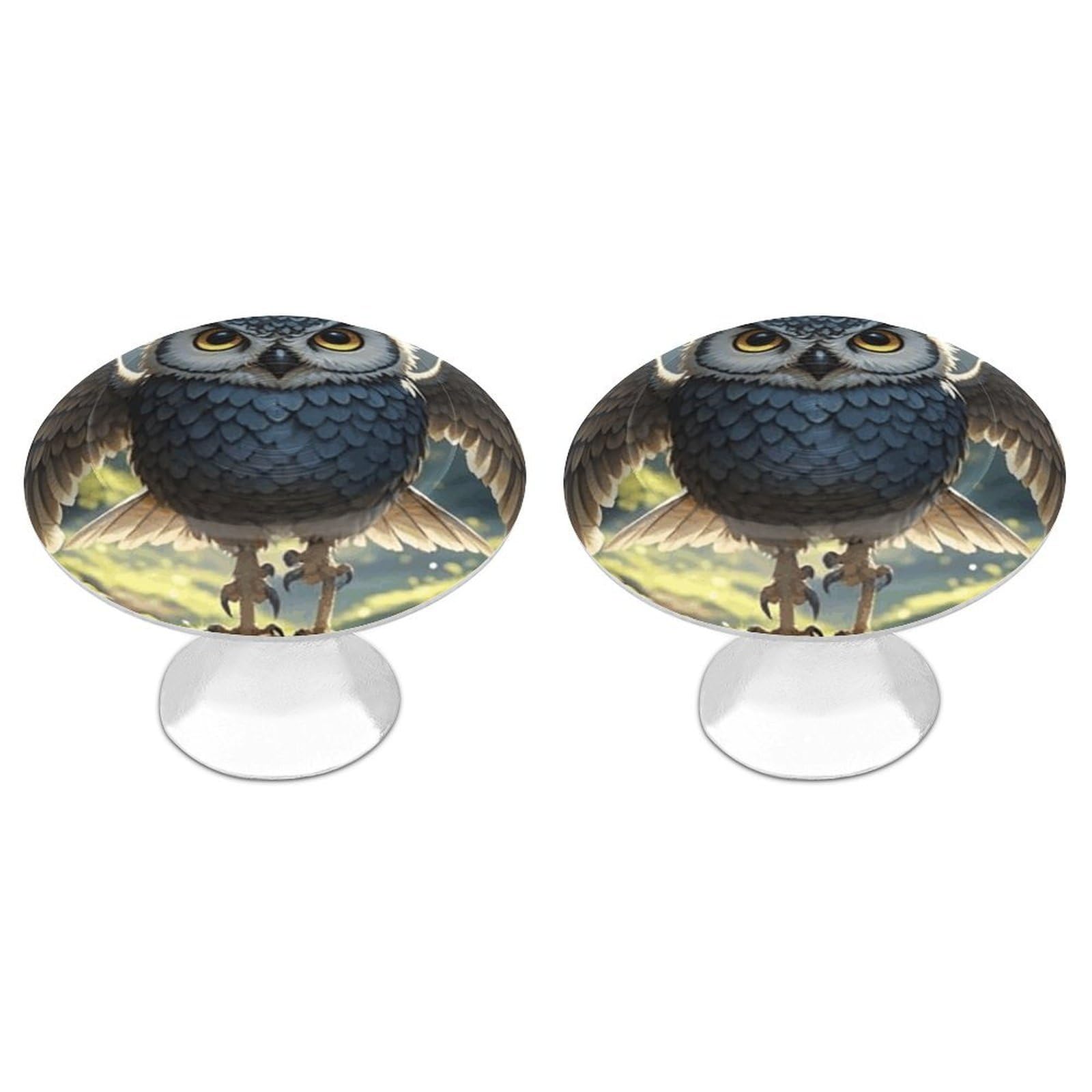 FekiLoot Anime Owl Cabinet Knobs Personality Stainless Steel Round Drawer Handles Circle Modern Cabinet Handles Drawer Knobs for Kitchen Dresser Bathroom Cupboard Furniture