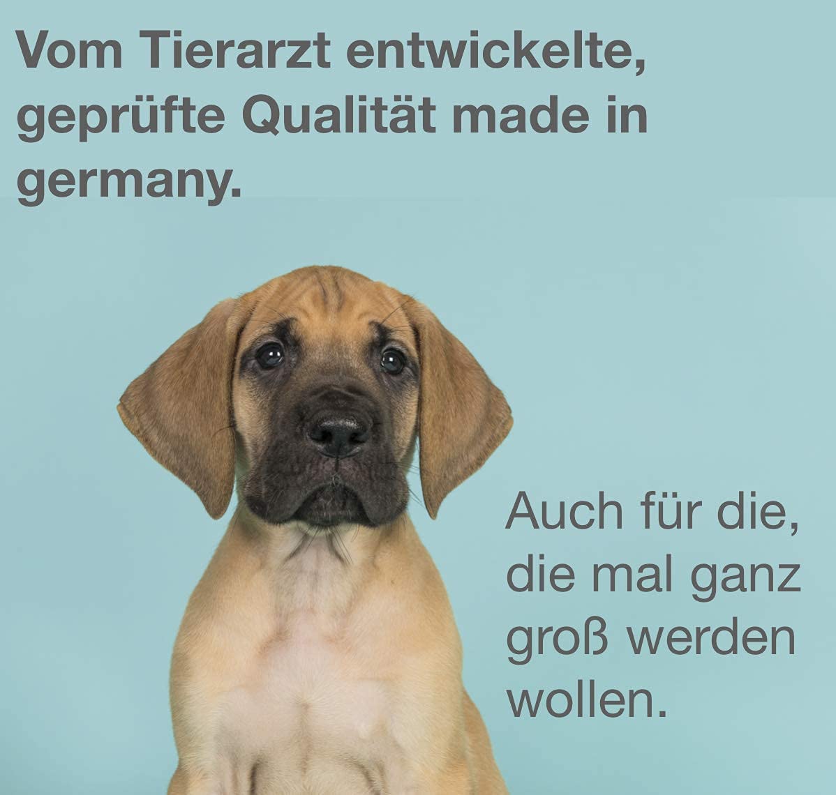 Breed Doppelpack, 2 Pkg mit je 100 Stick-Beuteln (100 x 2,5g), Ergänzungsfutter für Welpen und Junge Hunde für eine optimale Entwicklung von Knochen, Gelenken und Nerven.
