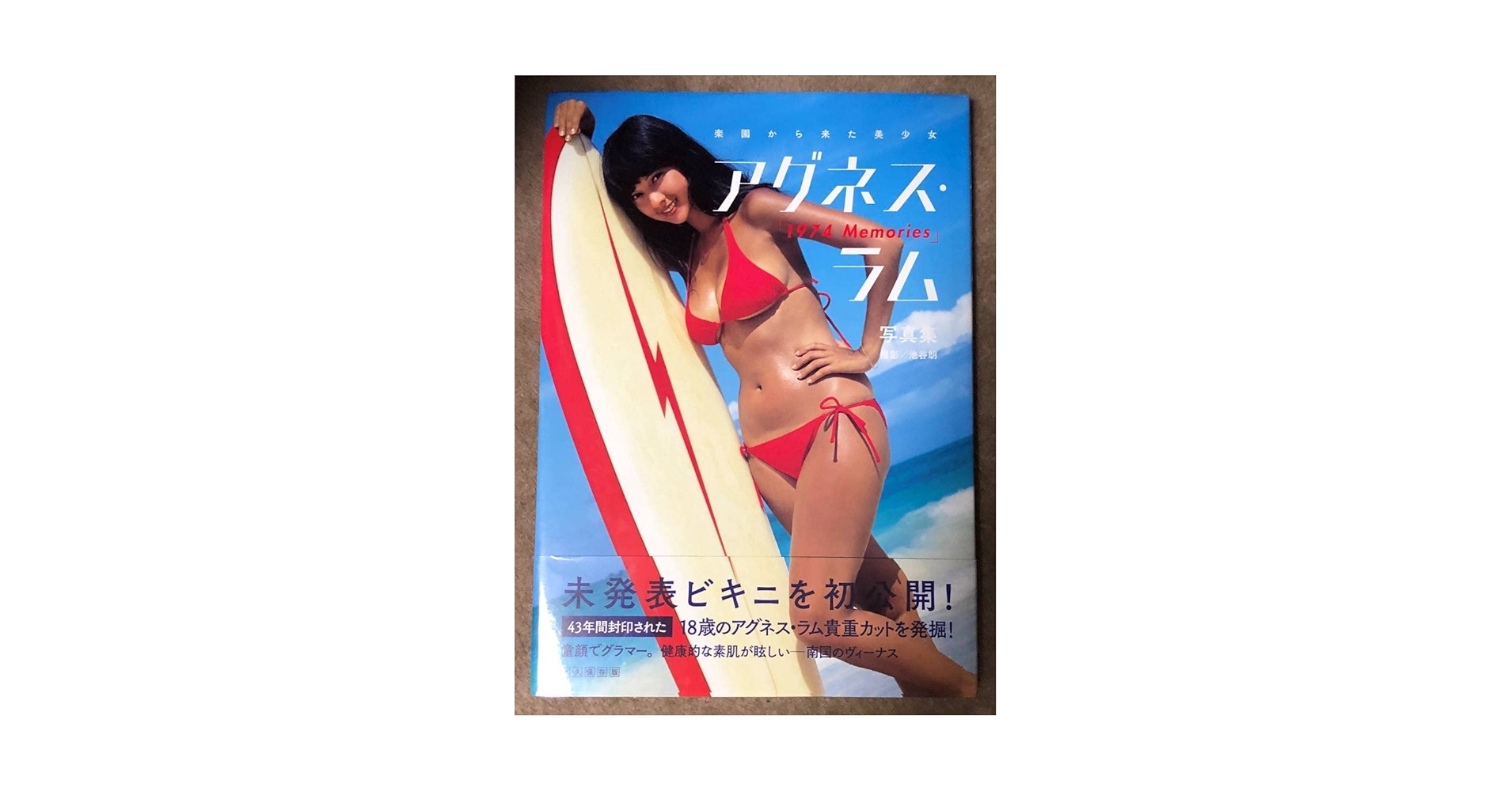 young idol nowアグネス・ラム写真集 アグネス・ラム 大判写真集 Young idol now ヤング・アイドル