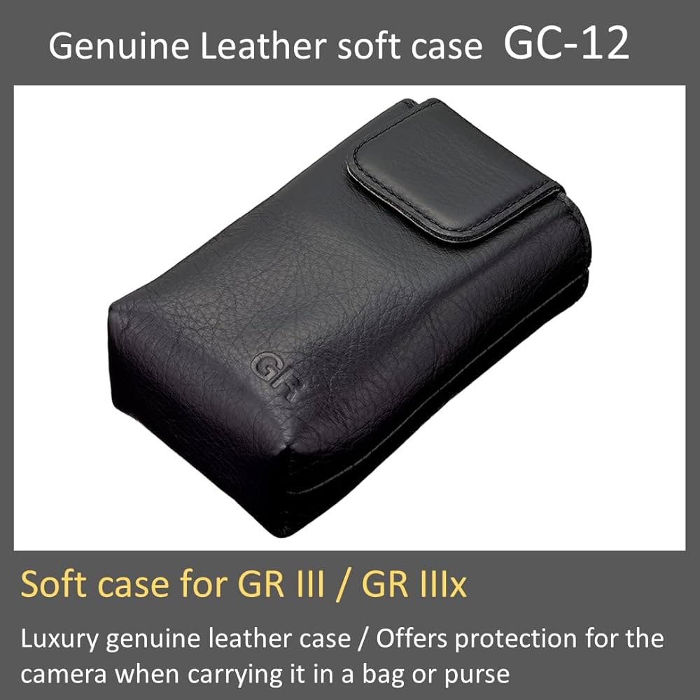 Amazon.com : RICOH Leather Soft case GC-12 [Compatible