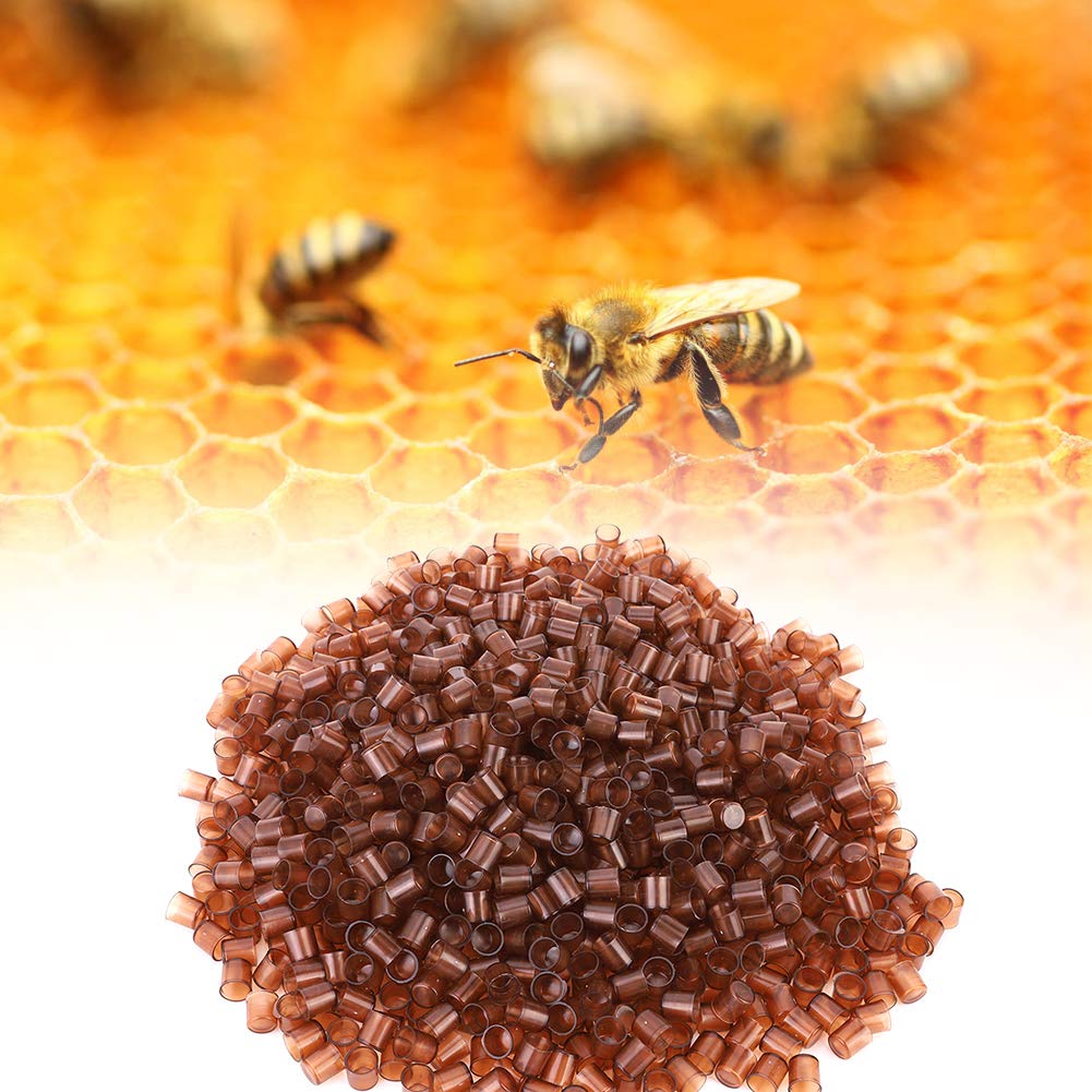 Pssopp 1000PCS Beekeeping Queen Cell Cups, Royal Queen Rearing Cups, Plastic Queen Breeding Base, Beekeeper Equipment Tool for Beekeepers