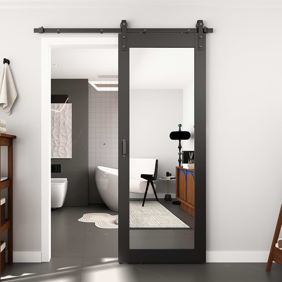 Mirror Barn Door