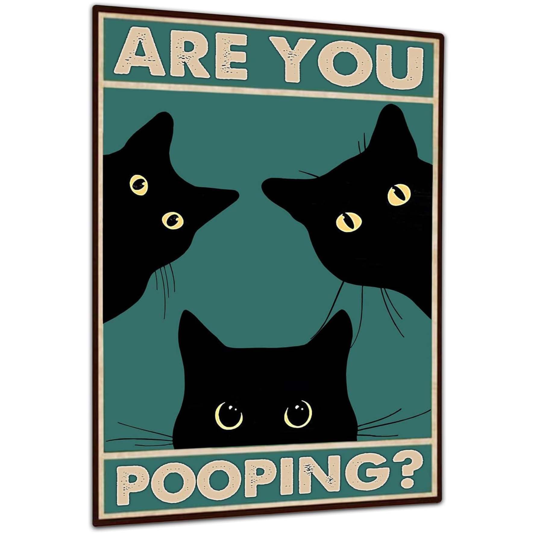 peiyeety Bathroom Vintage Metal Tin Sign Funny Sarcastic Party Wall Art Decor Toilet Signs For Bathroom Door Restroom Door Signs Are You Pooping 12x8 Inches