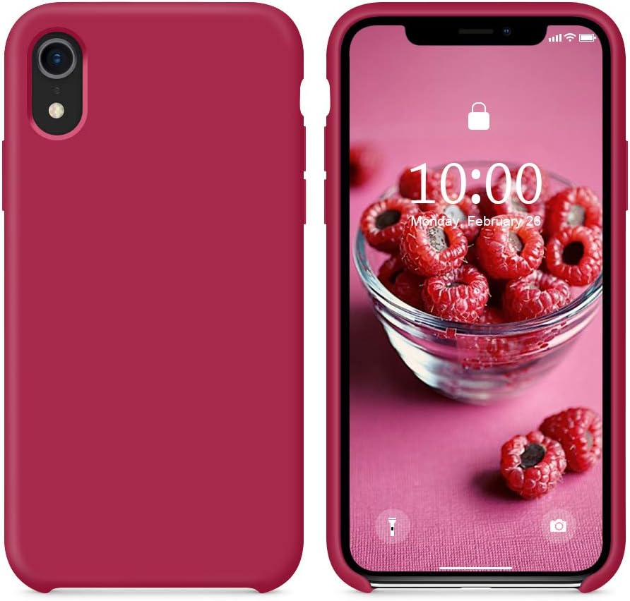 Telecamera 360 per iphone xr