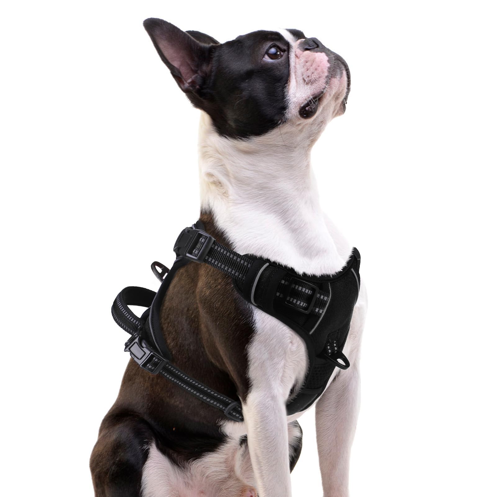 PUPTECK No Pull Dog Harness Small Sized, Adjustable Reflective Dog Harness with Handle Easy Control, Comfortable Soft Padded Pet Vest Harness for