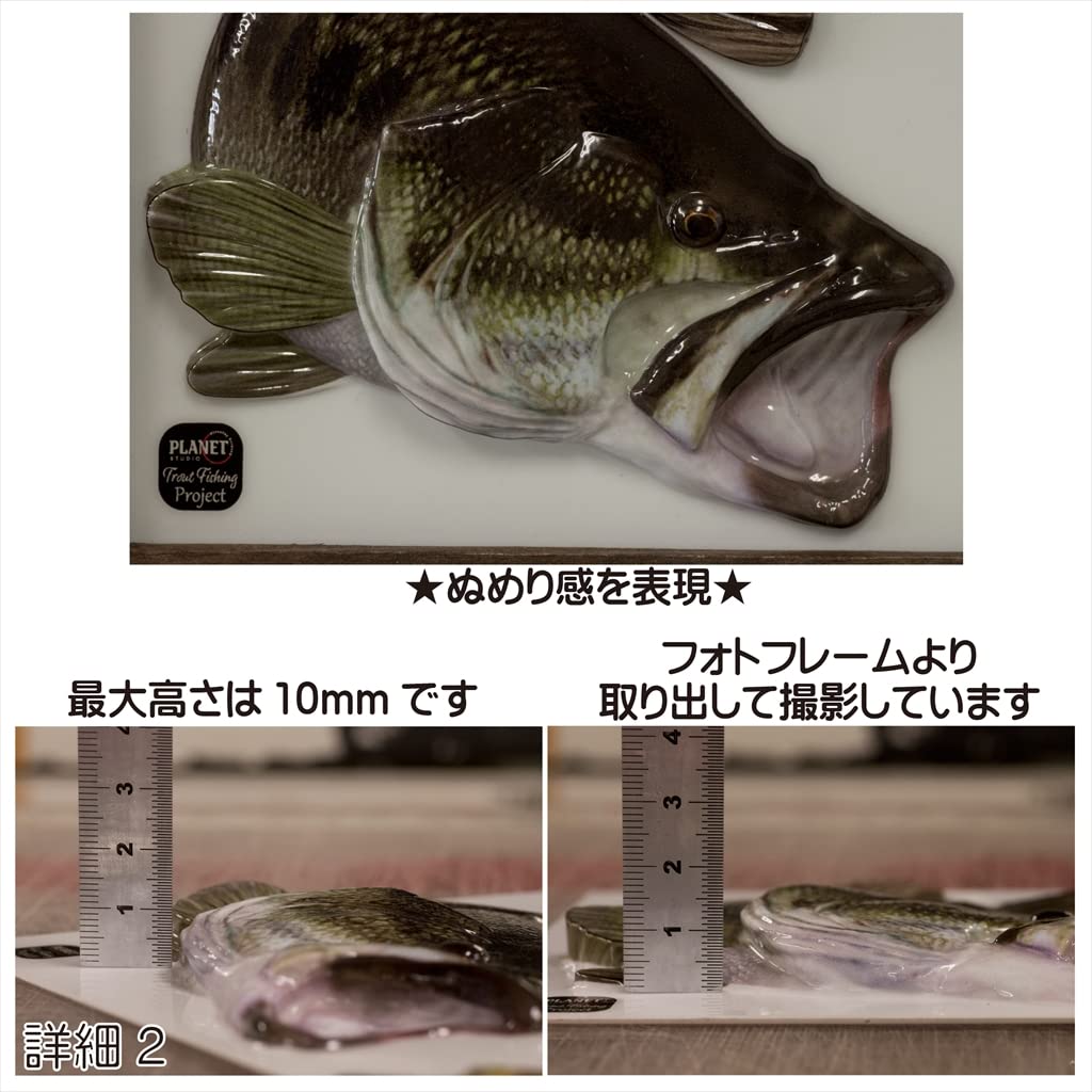 Amazon | 3Dフォト 第14弾 2L判 ブラックバスVer2 フォトスタンド付き