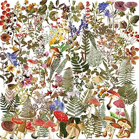Pegatinas decorativas transparentes de PET para plantas vintage Cover