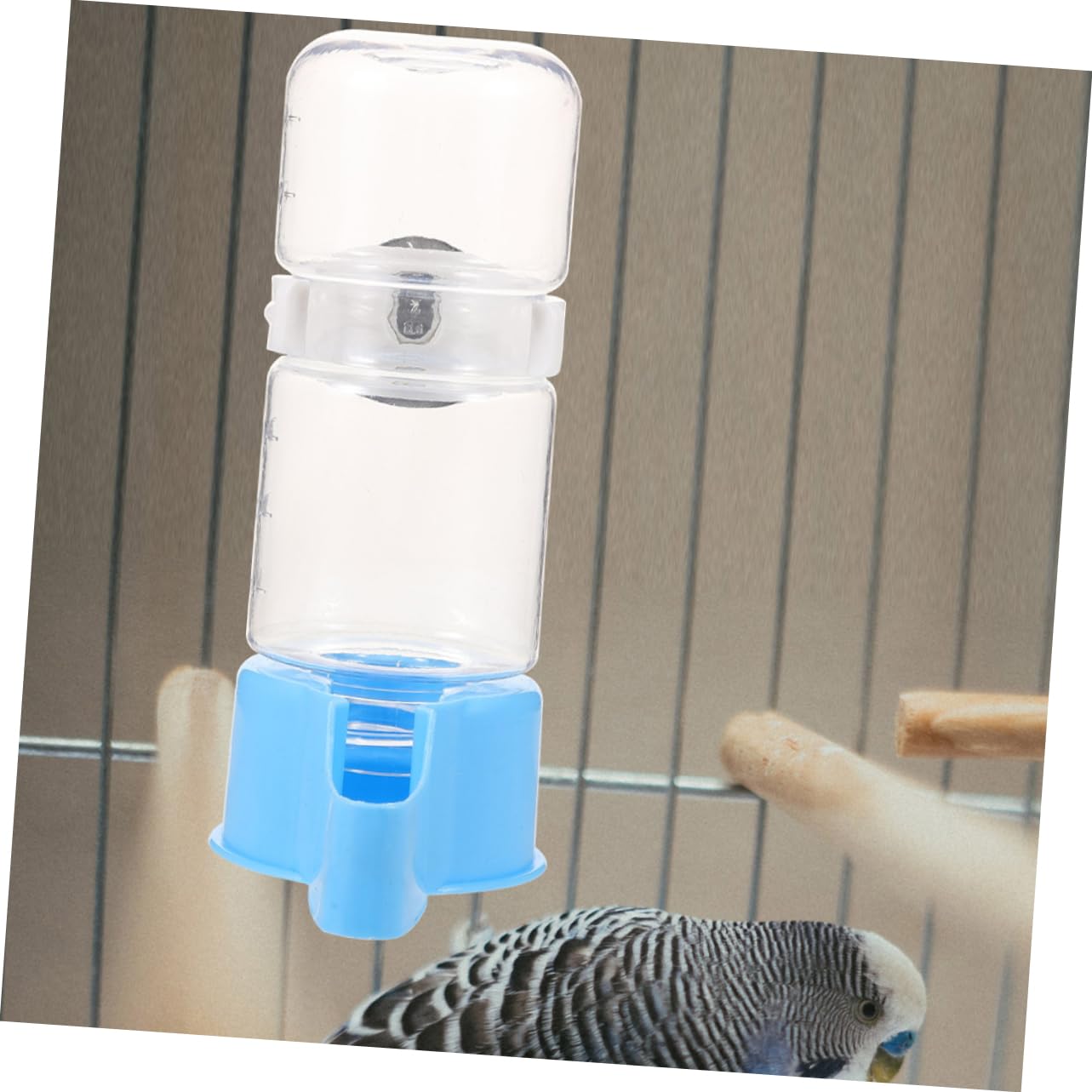 BESPORTBLE 10pezzi Dispenser Per Abbeveratoio Per Pappagalli Rifornimento Perdite Accessori Per Volatili