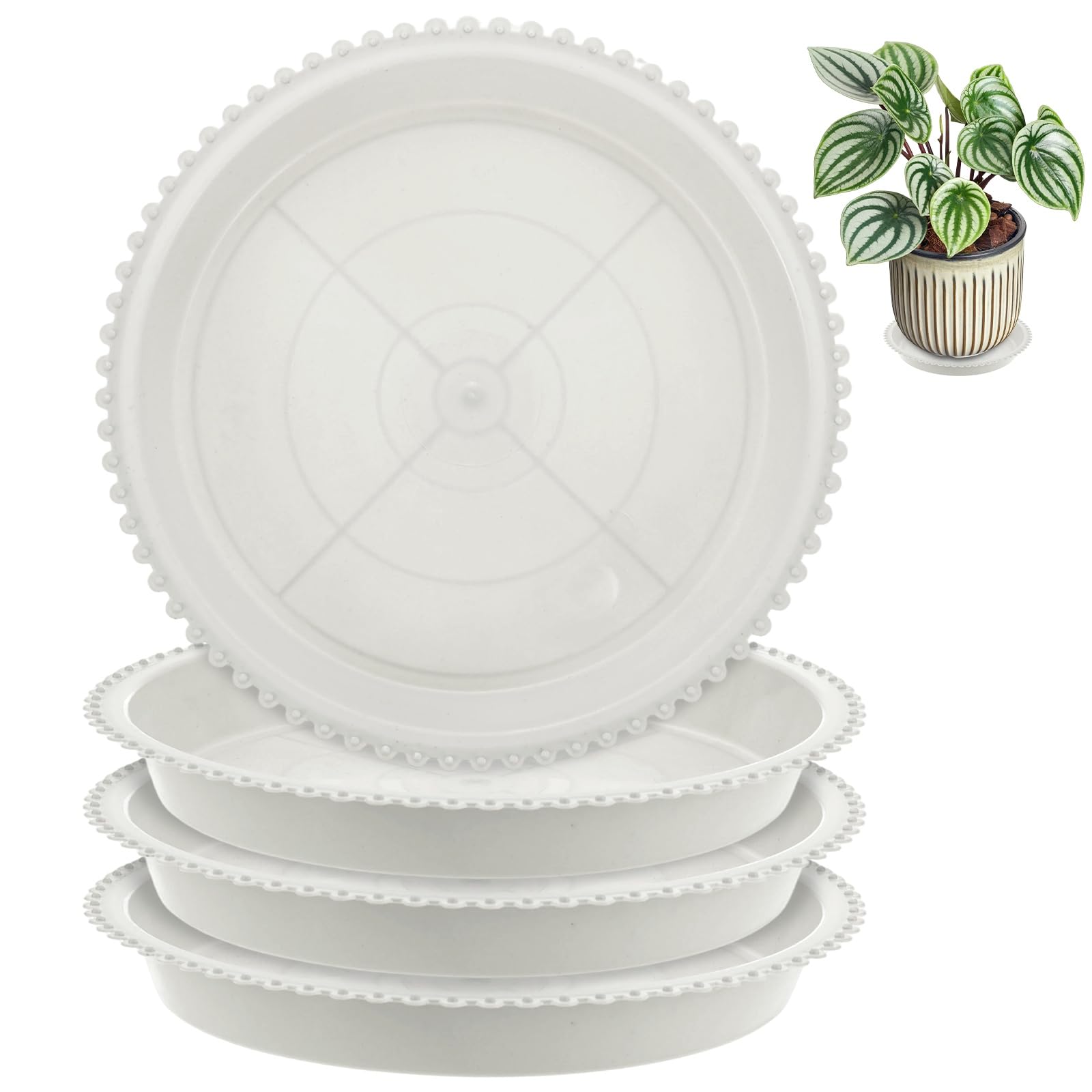 M METERXITY 4-Pack Plastic Plant Saucers, 5 Inch ID Round Plant Pot Water Trays for Indoor/Outdoor, Flowerpot Drip Tray [6.2 Inch OD, White] — image 1