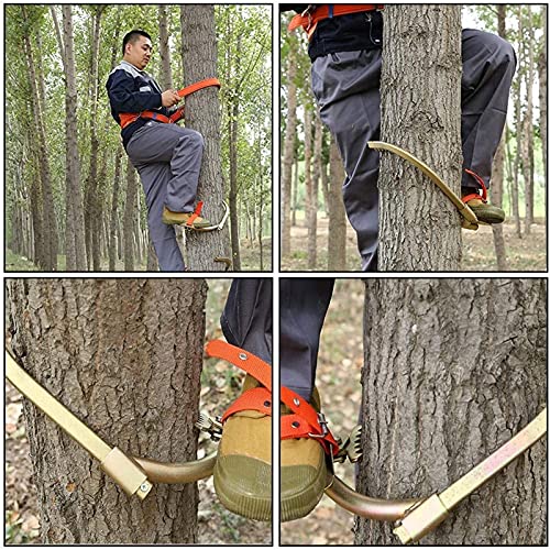 QAWSED Tree Climbing Artifact Tree Climbing Tool,Pole Climbing Spikes Hook with Safety Rope Thicken Foot Buckle for Cutting Trees Cement Pole Tree Climbing Hook for Hunting (Size : 450Model