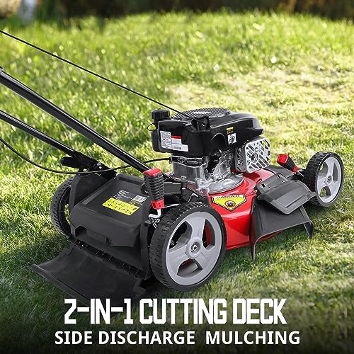 Image of PowerSmart Gas Lawn Mower, 21-inch Push Mower Gas Powered 2-in-1 with 144cc E550 4-Stroke Engine DB2321CR