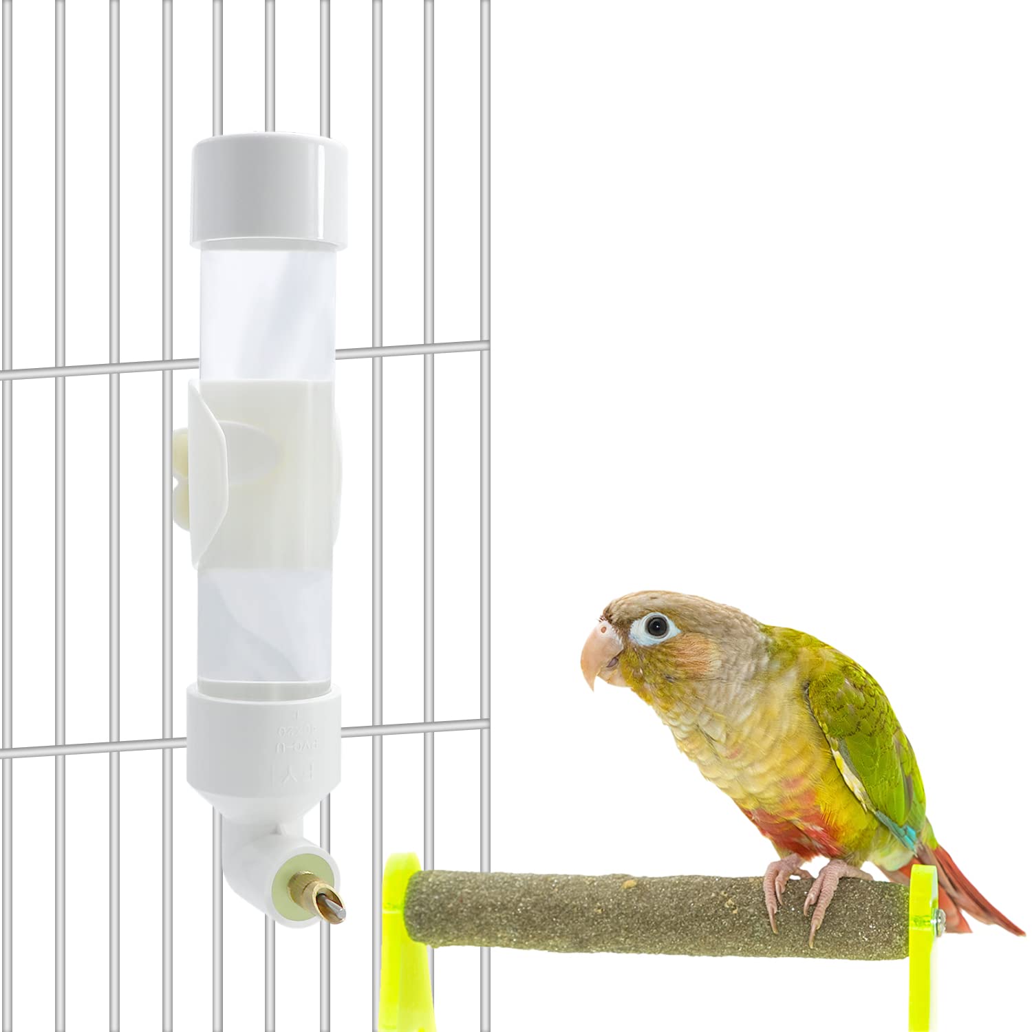 Photo inspiration: Automatic Parrot Waterer System Reference: Snapklik Com Bird Water Dispenser Parrot Waterer Automatic Bird Water