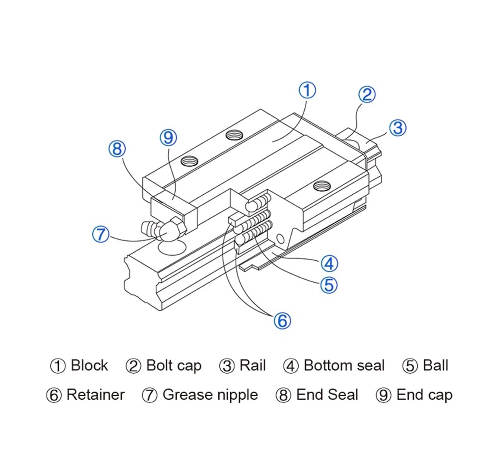 Metal Ball Screw nut 2 Linear Guide Rails 15mm HGR15 HGW15CC +1 SFU1605 Ball Screw Nut Housing Any Length+ Support BK/BF12+couplers for CNC(300mm)