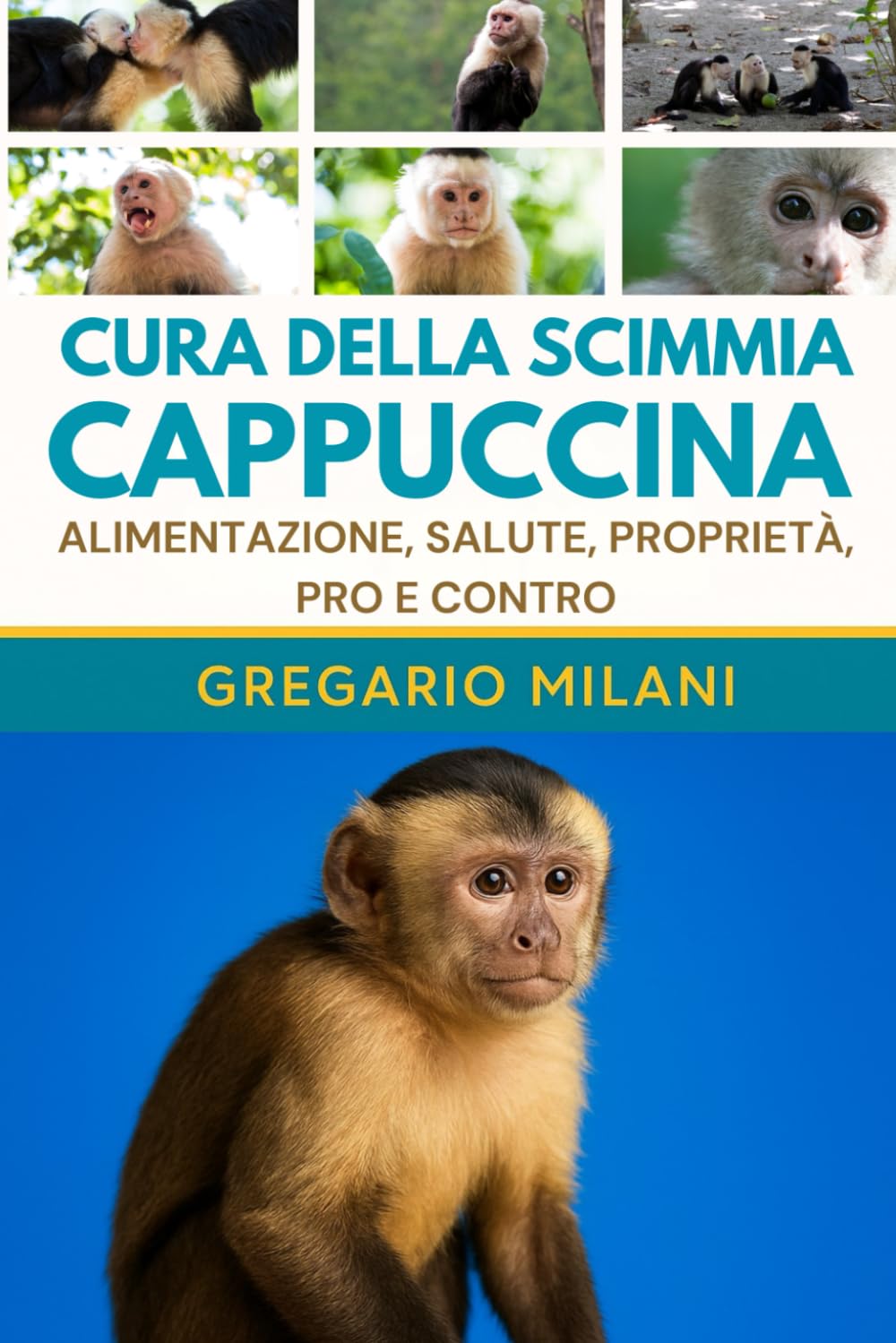 CURA DELLA SCIMMIA CAPPUCCINA: ALIMENTAZIONE, SALUTE, PROPRIETÀ, PRO E CONTRO