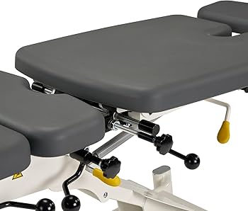 Amazon.com: Spa Source OsseFlex Pro - 4 Drop Electric Chiropractic