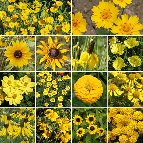 Image of Ferry-Morse Yellow Bulk Wildflower Seeds, 320,000+, 1 lb